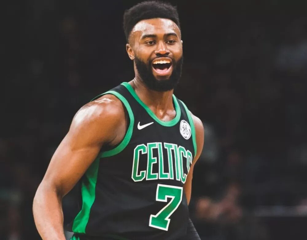 道与三角草 道与三角草